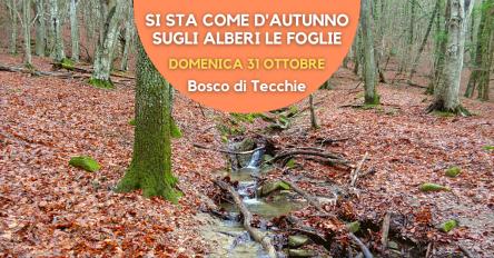 Si sta come d'autunno sugli alberi le foglie