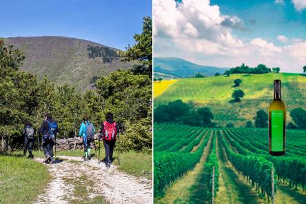 Monti Cafaggio e Rapina...poi in CANTINA