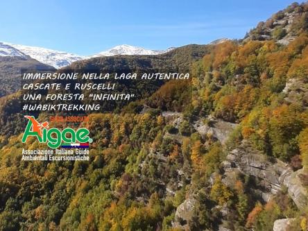 Foresta di San Gerbone: un foliage definitivo.