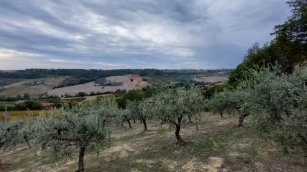 La TransuPanza VI Edizione