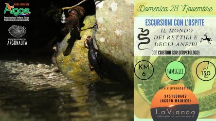 Escursioni con l’ospite: il mondo dei rettili e degli anfibi