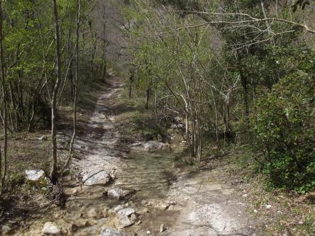 L'atmosfera magica di Valle Scappuccia