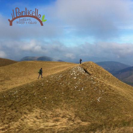 LET’S TREK – SUI SENTIERI DEL SILENZIO