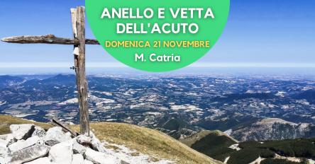 M. Catria: anello e vetta dell'Acuto