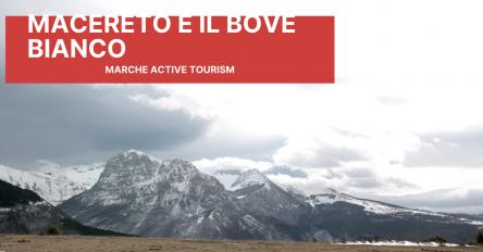 Macereto e il Bove bianco