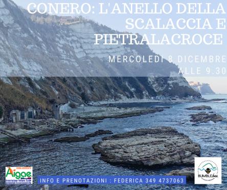 Conero: il sentiero della Scalaccia e Pietralacroce