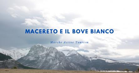 Macereto e il Bove bianco