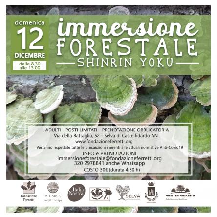 Immersione forestale nella Selva di Castelfidardo