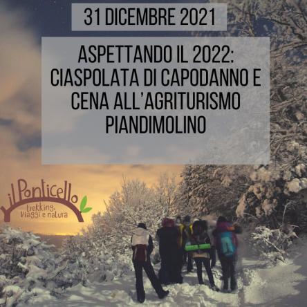 ASPETTANDO IL 2022