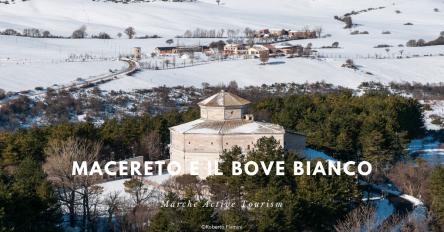 Macereto e il Bove bianco