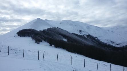 Ciaspolata al Catria: neve, boschi e panorami