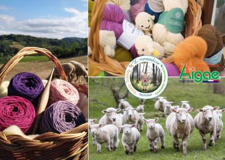 A piccoli passi su fili di lana