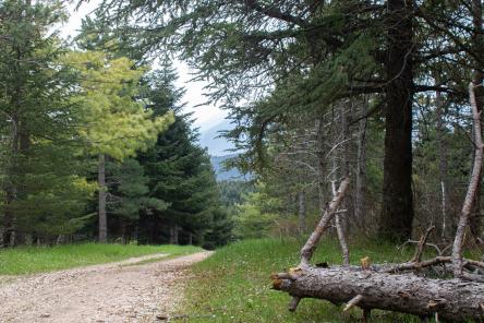 Anello del Monte d'Aria da San Severino