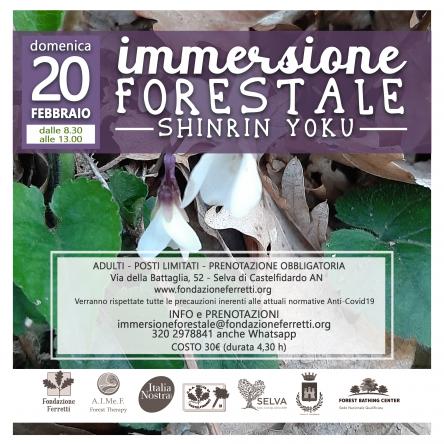 Immersione Forestale