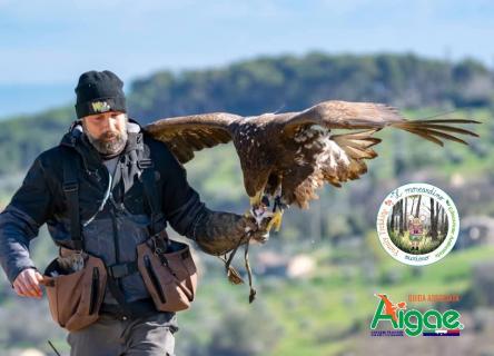 In Volo con i Rapaci