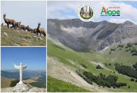 Alla ricerca dei camosci in Val di Bove