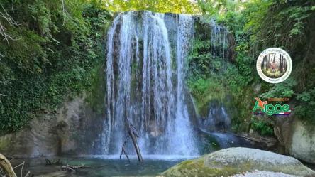 Zampine a mollo alle Cascate Perdute