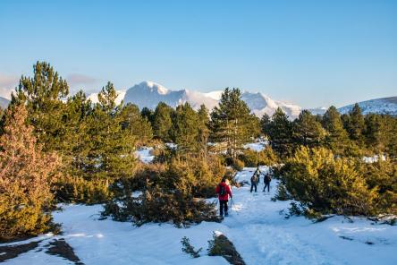 Ciaspolata al tramonto sull'altopiano di Macereto
