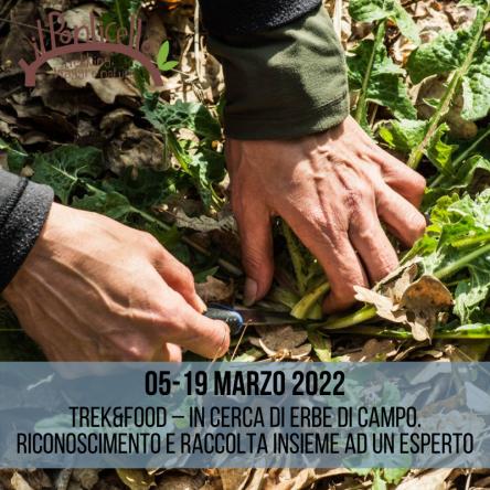 TREK&FOOD – IN CERCA DI ERBE DI CAMPO