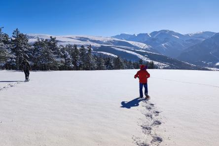 Ciaspolata con panorami dal Monte Fiegni