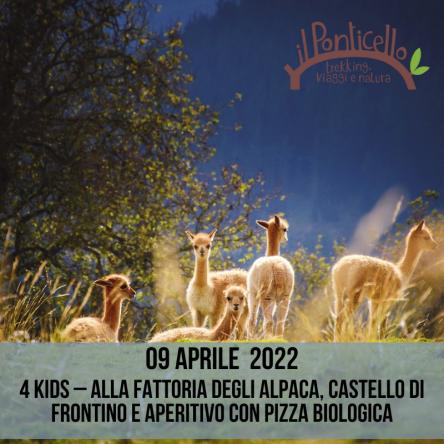 4 KIDS – ALLA FATTORIA DEGLI ALPACA, CASTELLO DI FRONTINO E APERITIVO CON PIZZA BIOLOGICA