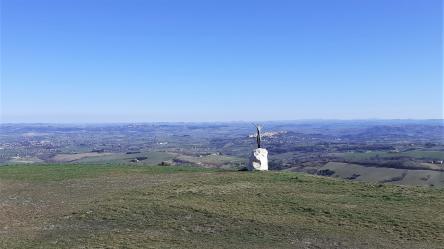 Dal bosco delle Tassinete al Cristo delle Marche