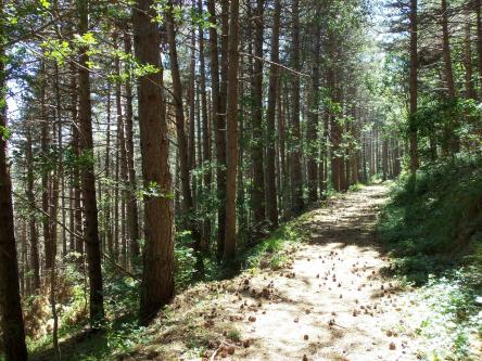 Escursione al Monte Predicatore