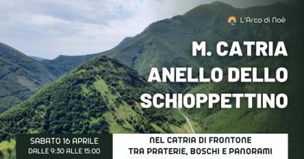 Monte Catria: anello dello Schioppettino