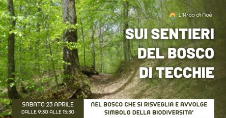 Escursione al Bosco di Tecchie