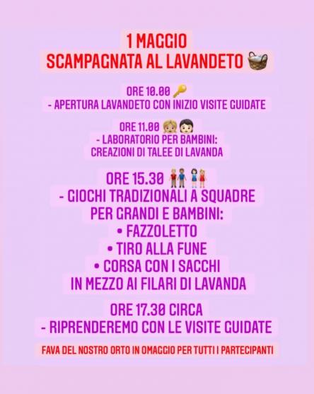 1 MAGGIO SCAMPAGNATA AL LAVANDETO
