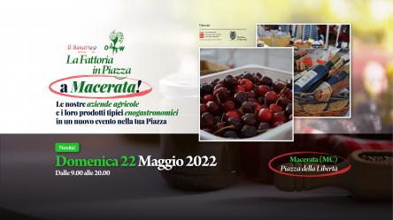 La Fattoria in Piazza - Macerata (MC)