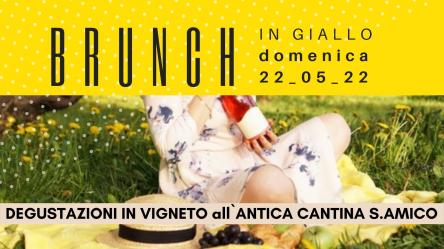 Degustazioni in Vigneto - BRUNCH IN GIALLO