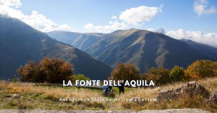 La Fonte dell'Aquila