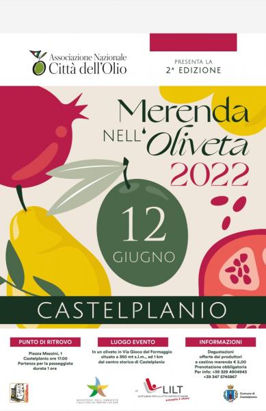 Passeggiata nell'Oliveta