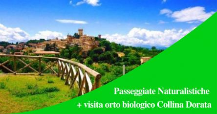Passeggiate Naturalistiche + Visita orto biologico Collina Dorata