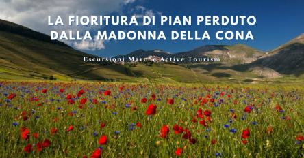 La fioritura di Pian Perduto dalla Madonna della Cona