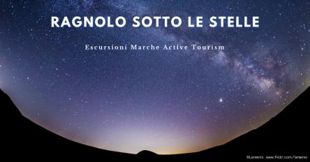 Ragnolo sotto le stelle