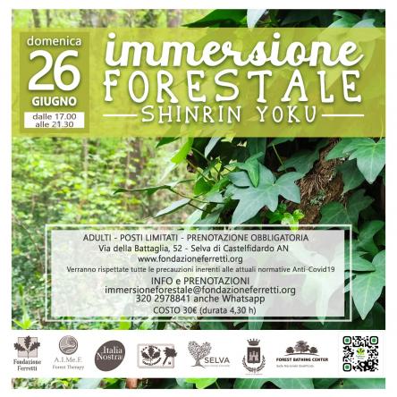 IMMERSIONE FORESTALE
