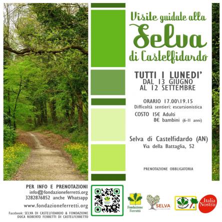 Visitate la Selva di Castelfidardo!