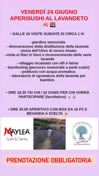 APERISUSHI AL LAVANDETO DI MORROVALLE