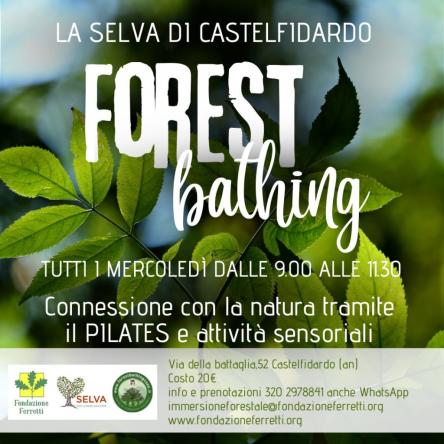 IMMERSIONE FORESTALE BREVE