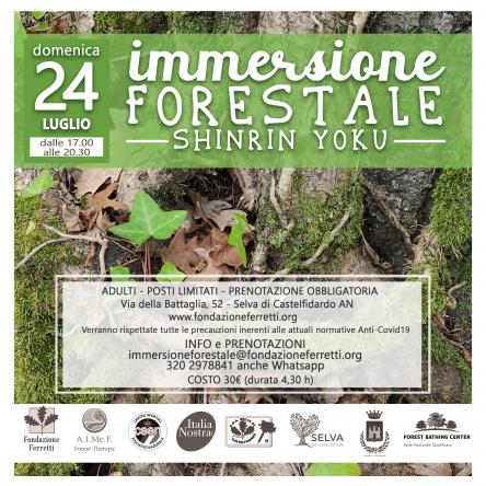 IMMERSIONE FORESTALE - 24 luglio