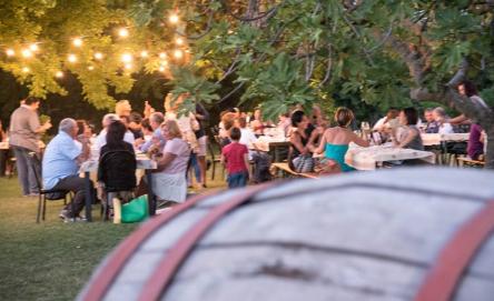 Aperitivi in Vigna