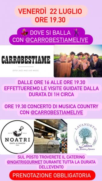 VISITA AL LAVANDETO E CONCERTO MUSICA COUNTRY