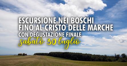 Escursione nei boschi fino al Cristo delle Marche, con degustazione finale