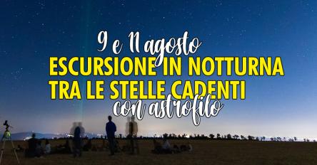 Escursione in notturna tra le stelle cadenti, con astrofilo
