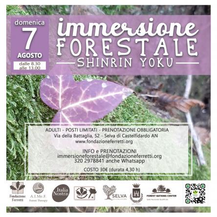 IMMERSIONE FORESTALE - 7 AGOSTO