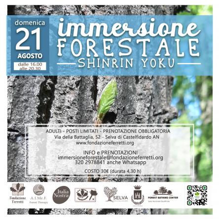 IMMERSIONE FORESTALE - 21 AGOSTO