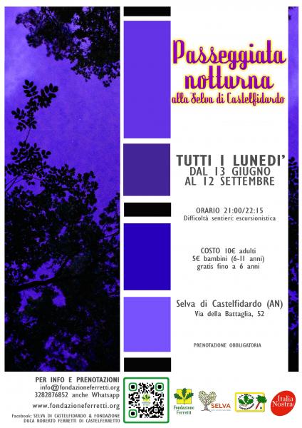 PASSEGGIATA NOTTURNA