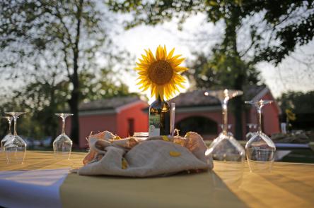 Apericene sulle note d’estate